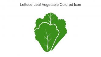 Lettuce Leaf Vegetable Colored Icon In Powerpoint Pptx Png And Editable Eps Format