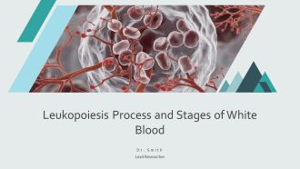 Leukopoiesis Process And Stages Of White Blood PPT Designs AT