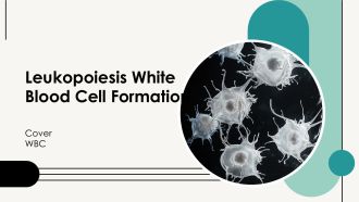 Leukopoiesis White Blood Cell Formation PPT PowerPoint AT