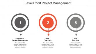 Level effort project management ppt powerpoint presentation show templates cpb