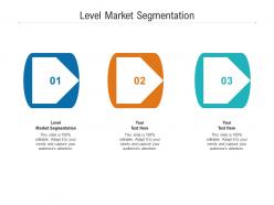 Level market segmentation ppt powerpoint presentation infographic template professional cpb