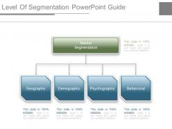 Level of segmentation powerpoint guide