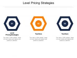 Level pricing strategies ppt powerpoint presentation professional demonstration cpb