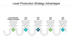 Level production strategy advantages ppt powerpoint presentation pictures visuals cpb