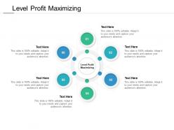Level profit maximizing ppt powerpoint presentation file diagrams cpb