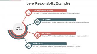 Level Responsibility Examples In Powerpoint And Google Slides Cpb