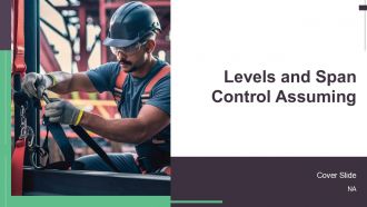 Levels And Span Control Assuming PPT Summary AT