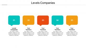 Levels companies ppt powerpoint presentation outline infographics cpb