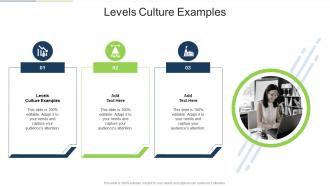 Levels Culture Examples In Powerpoint And Google Slides Cpb