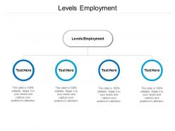 Levels employment ppt powerpoint presentation model gallery cpb
