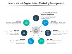 Levels market segmentation marketing management ppt powerpoint presentation styles portrait cpb