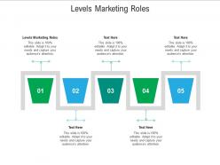 Levels marketing roles ppt powerpoint presentation outline design inspiration cpb