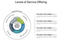 Levels Of Service Offering Example Of Ppt Presentation