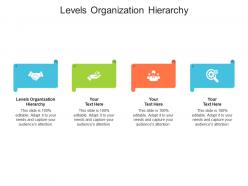 Levels organization hierarchy ppt powerpoint presentation infographic template slides cpb