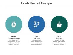 Levels product example ppt powerpoint presentation slides layouts cpb