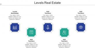 Levels Real Estate Ppt Powerpoint Presentation Show Sample Cpb