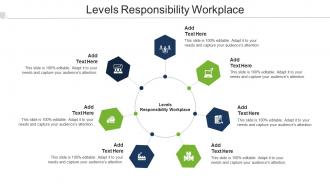 Levels Responsibility Workplace Ppt Powerpoint Presentation Pictures Graphics Cpb