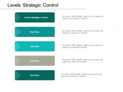 Levels strategic control ppt powerpoint presentation slides example topics cpb
