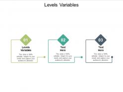 Levels variables ppt powerpoint presentation show templates cpb