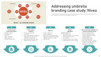 Leveraging Brand Equity For Product Corporate And Umbrella Branding CD Visual Template