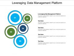 Leveraging data management platform ppt powerpoint presentation layouts information cpb