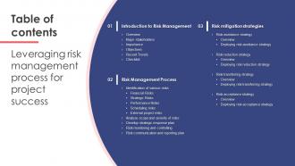 Leveraging Risk Management Process For Project Success Powerpoint Presentation Slides PM CD Professionally Slides