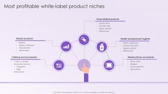 Leveraging White Labeling Most Profitable White Label Product Niches