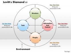 Levitts diamond 01 powerpoint presentation slide template
