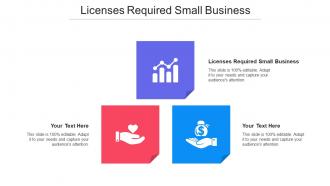 Licenses Required Small Business Ppt Powerpoint Presentation Professional Infographic Template Cpb