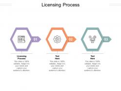 Licensing process ppt powerpoint presentation professional example topics cpb