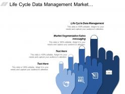 Life cycle data management market segmentation sales messaging