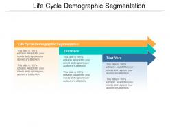 Life cycle demographic segmentation ppt powerpoint presentation layouts files cpb