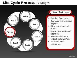 Life cycle diagrams process 7 stages 6