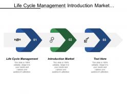 Life cycle management introduction market advertising product testing