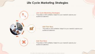 Life Cycle Marketing Strategies In Powerpoint And Google Slides Cpb