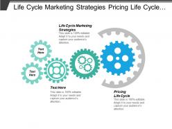 Life cycle marketing strategies pricing life cycle ansoff strategy cpb