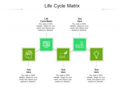 Life cycle matrix ppt powerpoint presentation model ideas cpb