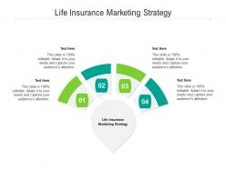 Life insurance marketing strategy ppt powerpoint presentation icon graphics template cpb