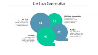 Life stage segmentation ppt powerpoint presentation file format ideas cpb