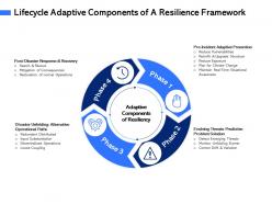 Lifecycle adaptive components of a resilience framework drift ppt powerpoint presentation file