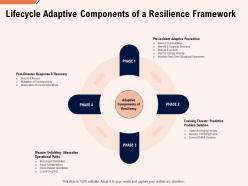 Lifecycle adaptive components of a resilience framework ppt powerpoint file elements