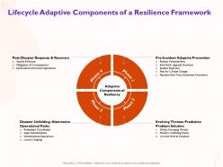 Lifecycle adaptive components of a resilience framework upgrade ppt powerpoint presentation slides display