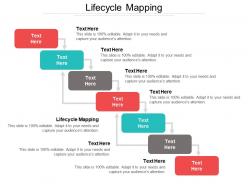 Lifecycle mapping ppt powerpoint presentation file grid cpb