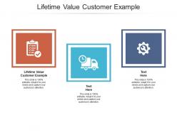 Lifetime value customer example ppt powerpoint presentation outline graphics tutorials cpb