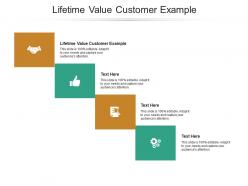 Lifetime value customer example ppt powerpoint presentation pictures portrait cpb