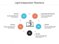 Light independent reactions ppt powerpoint presentation outline styles cpb