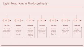 Light Reactions In Photosynthesis ATP Synthesis PPT Presentation ACP