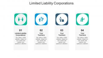 Limited liability corporations ppt powerpoint presentation portfolio shapes cpb