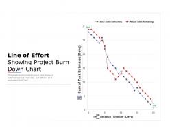 Line of effort showing project burn down chart