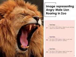 Lion Roaring Representing Landscape Astrological Symbol Face